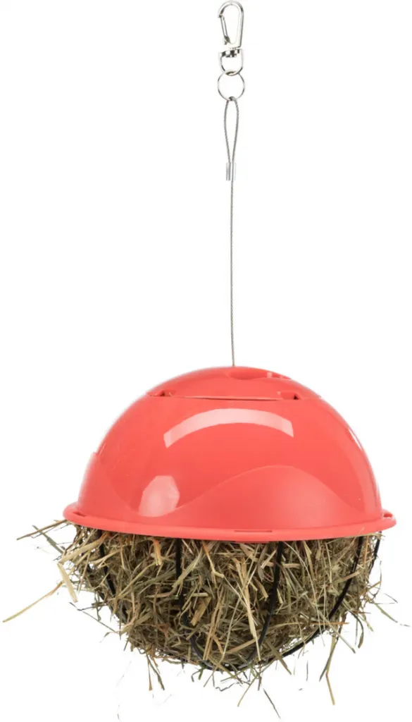Food-Ball